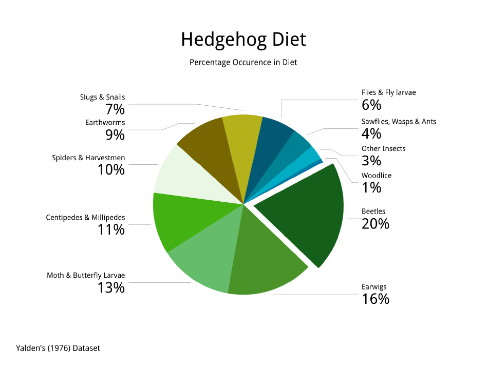 Pie chart of Hedgehog Diet