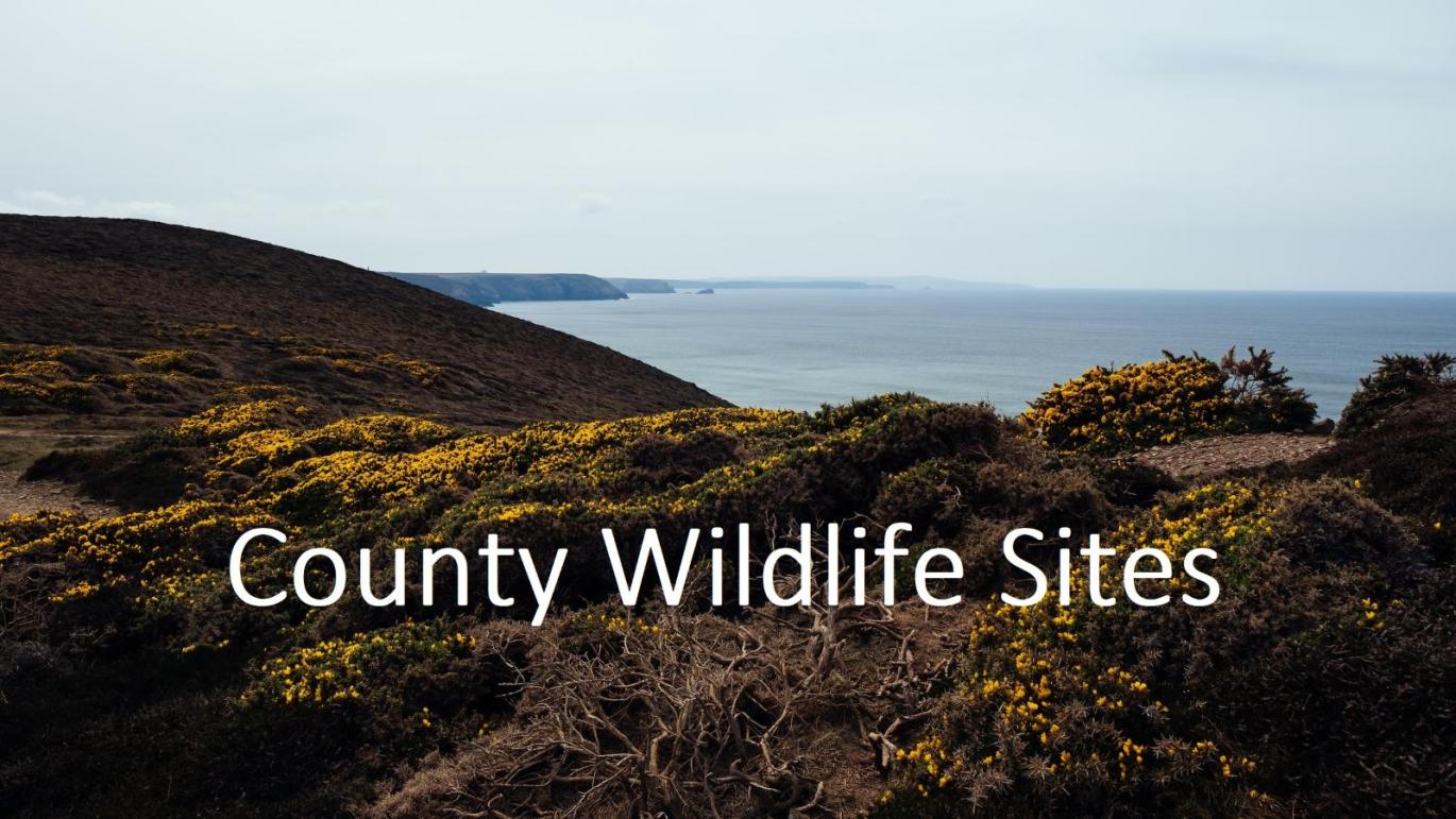 image for link to portal