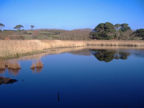 Open water and wetland, St Marys